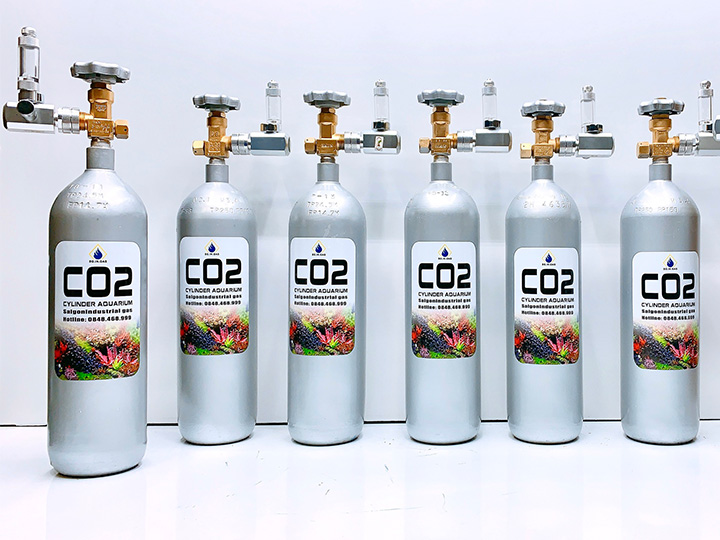 Nhựa được chế tạo từ chiết xuất quả chanh và khí CO2